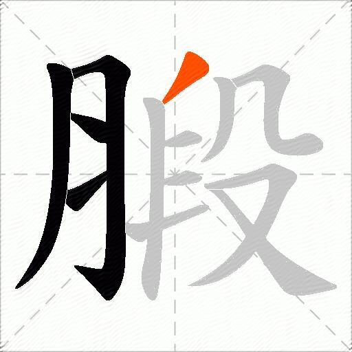 腶