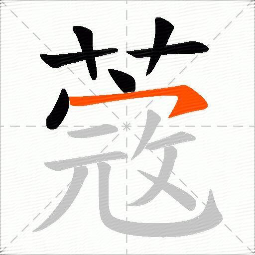 蔲
