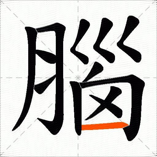 腦
