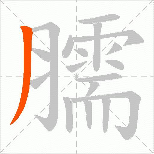 臑