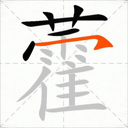 藿
