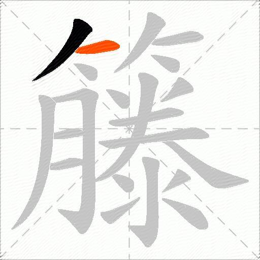 籐