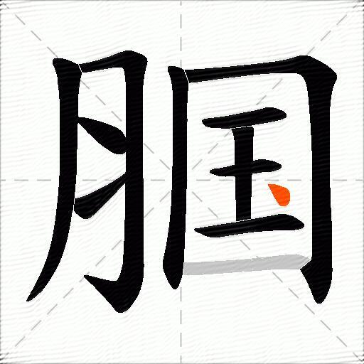 腘