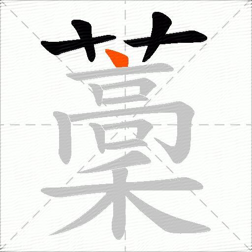 藳