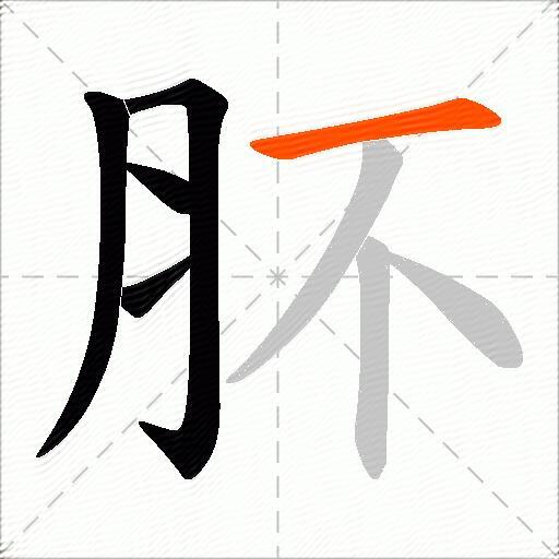 肧