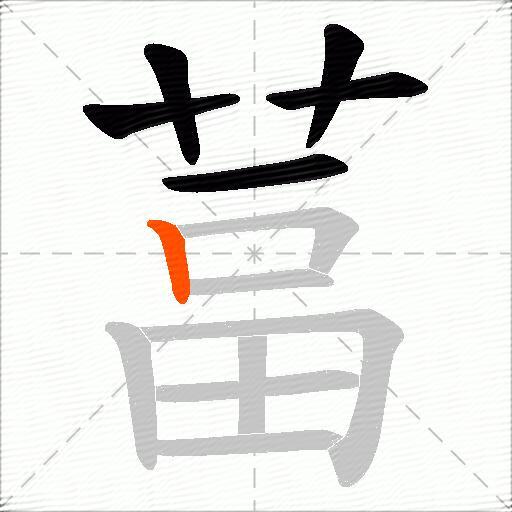 葍
