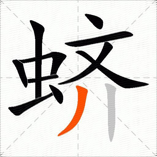 蛴