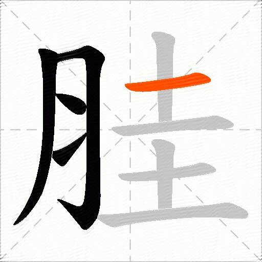 胿