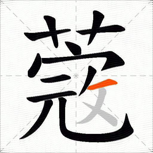 蔲