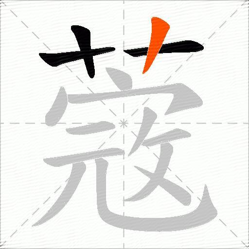 蔲