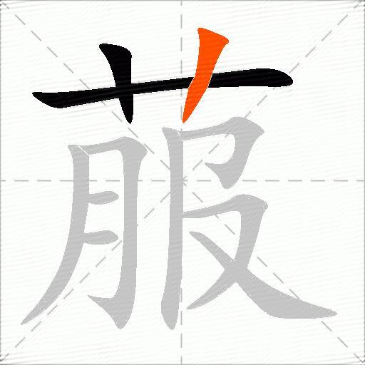 菔
