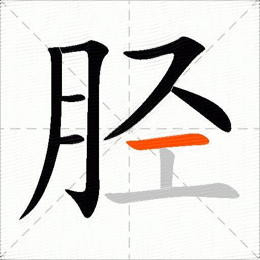 胫