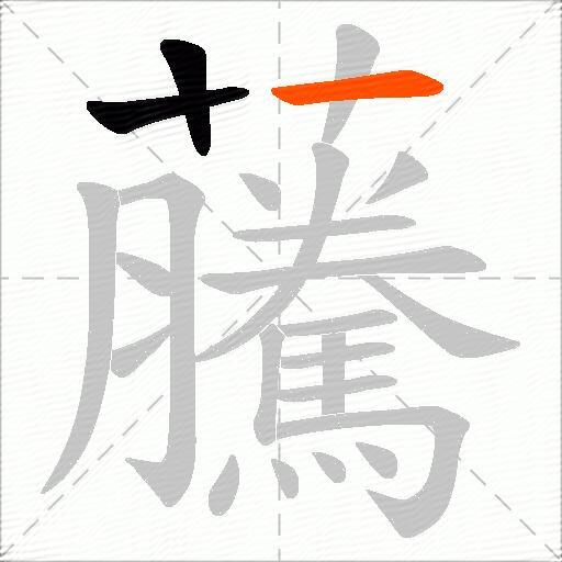 虅