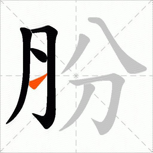 肦