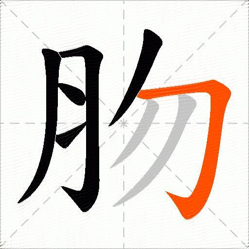 肳