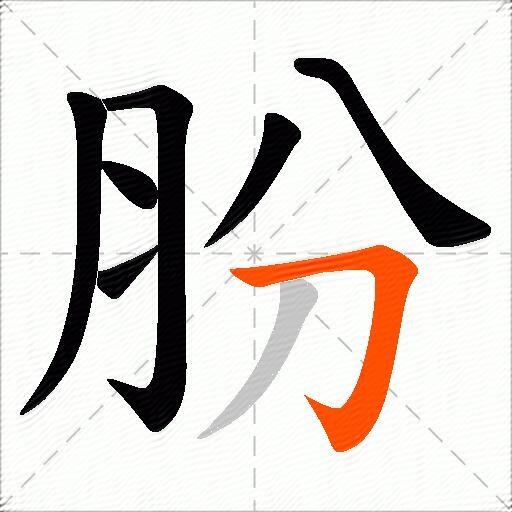 肦