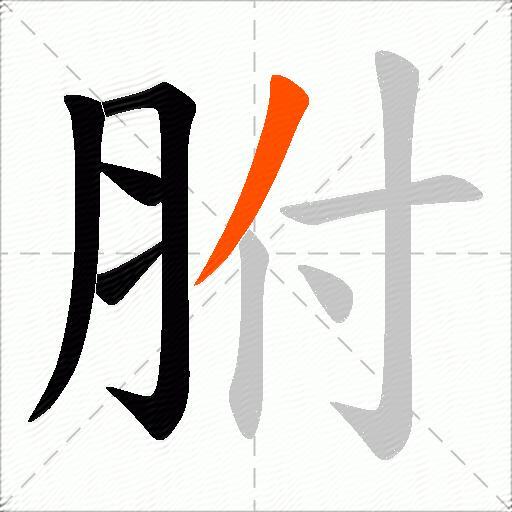 胕