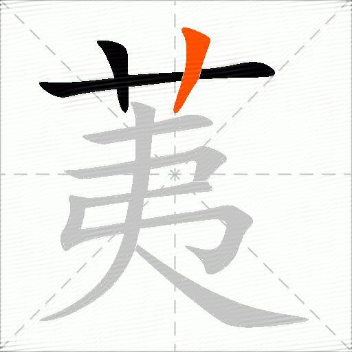 荑