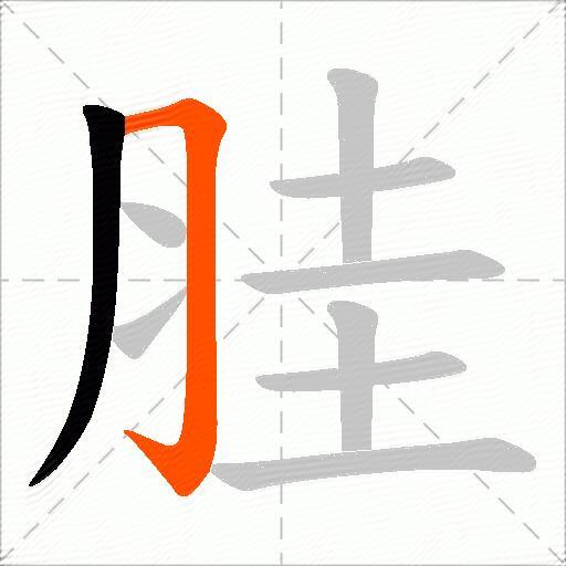 胿