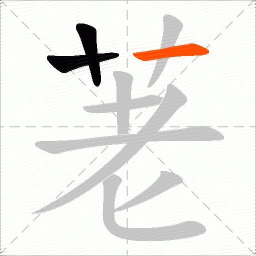 荖