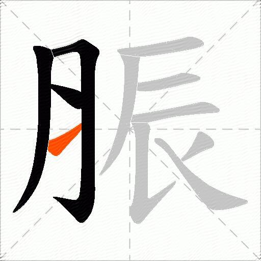 脤