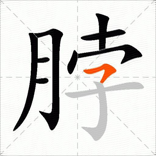脖