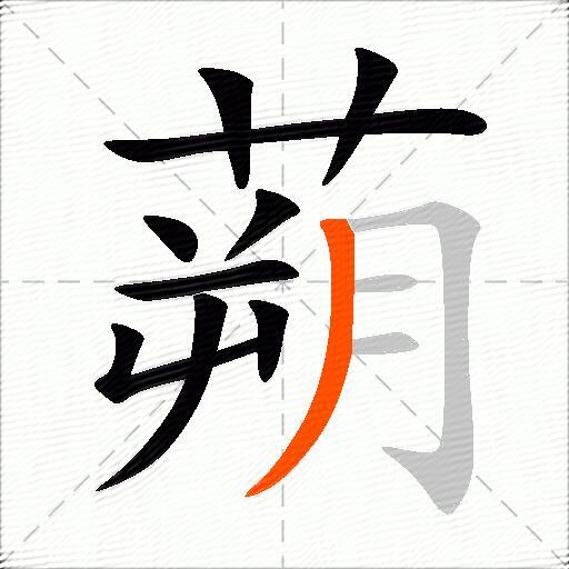 蒴