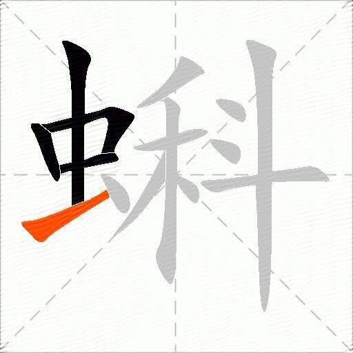 蝌