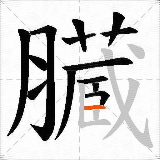 臓