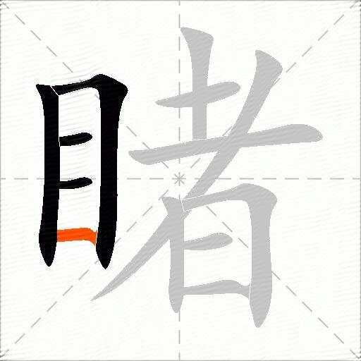 睹