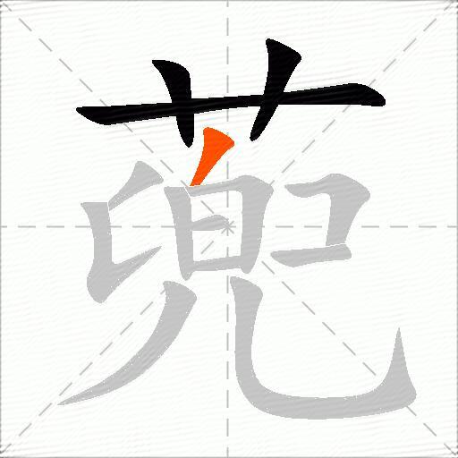 蔸