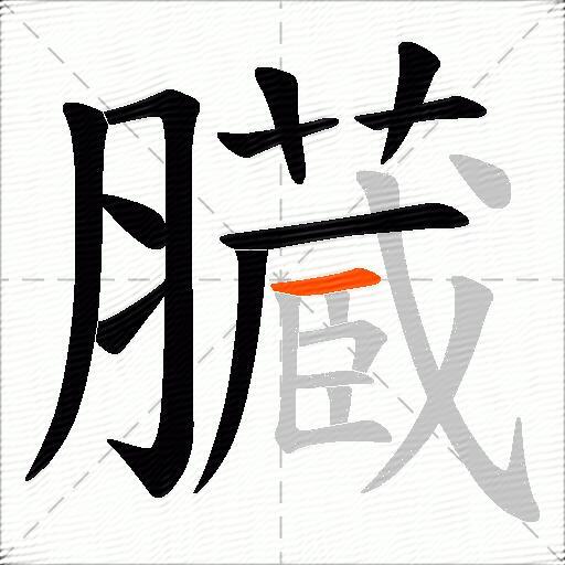 臓