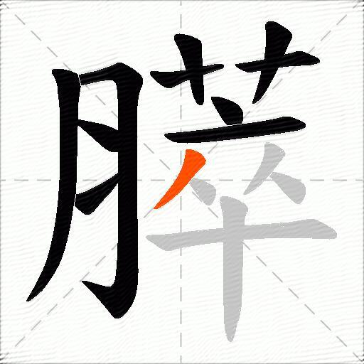 膵