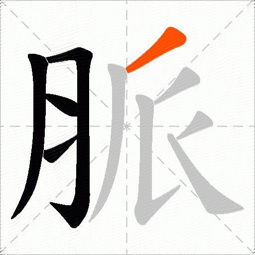 脈