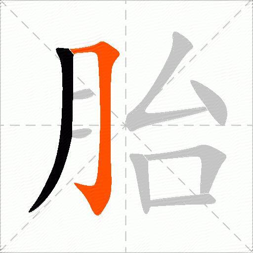胎