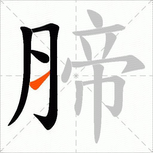 腣
