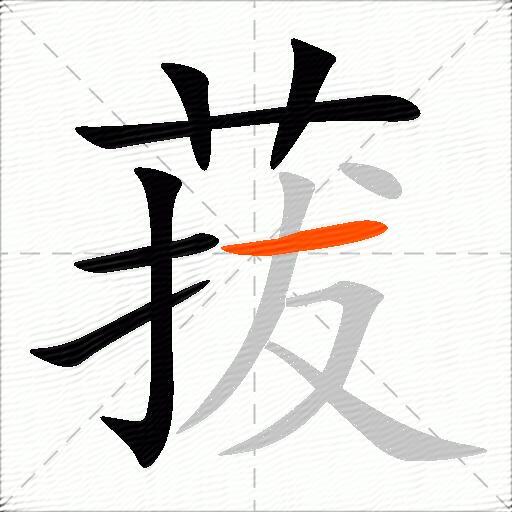 菝