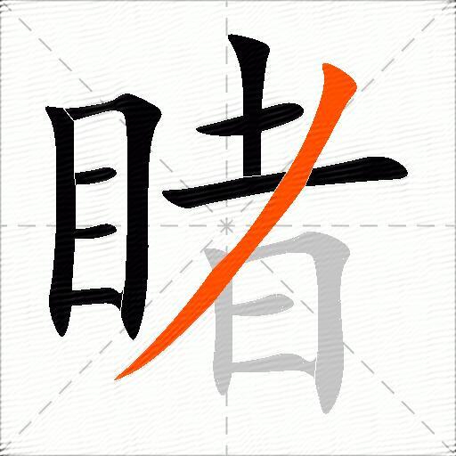 睹
