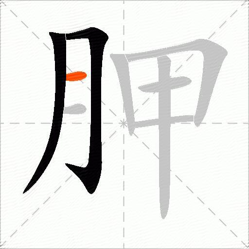 胛