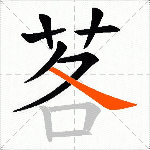 茖