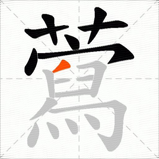 藛