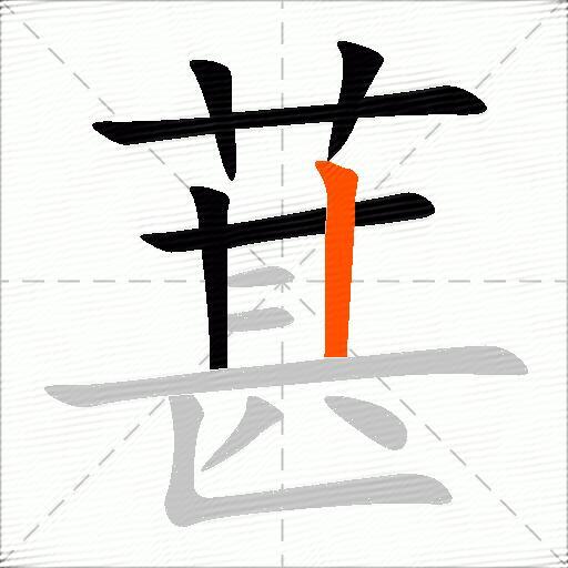 葚
