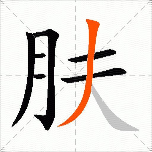 肤