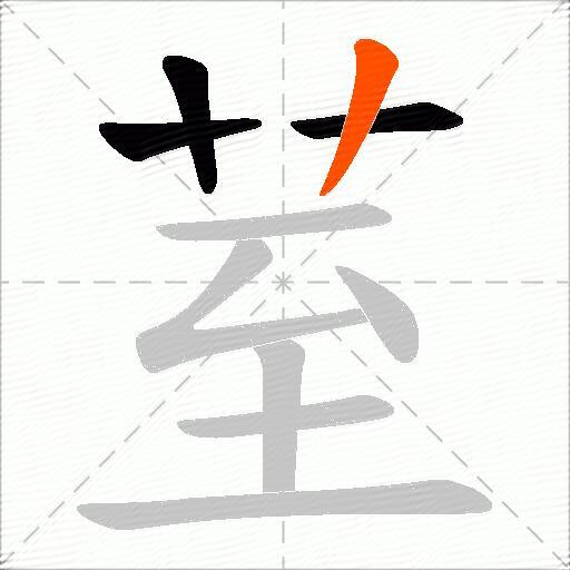 荎