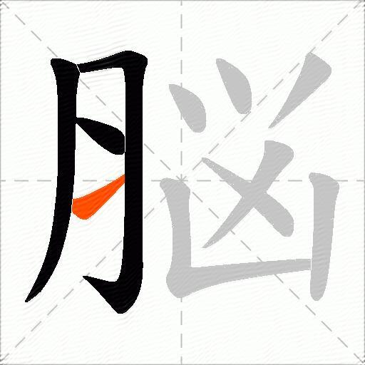 脳