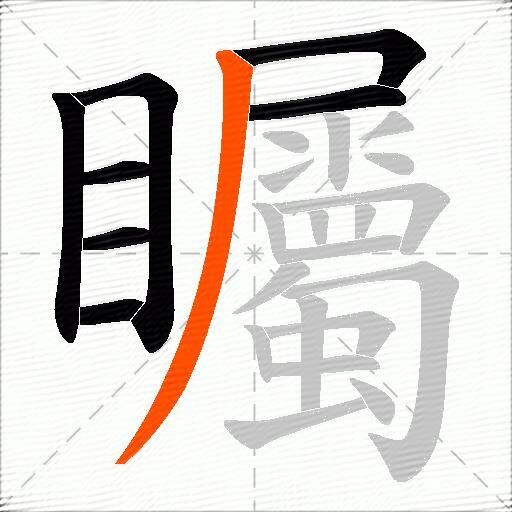 矚