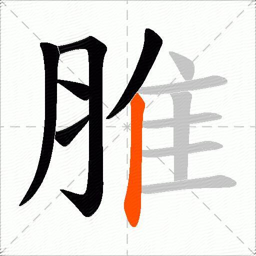 脽