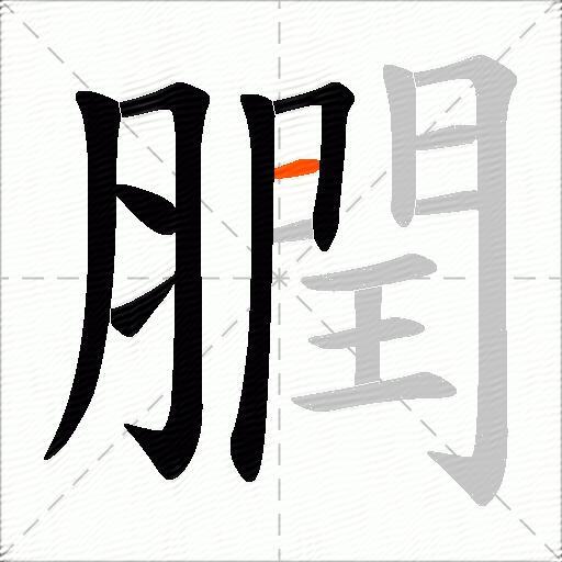 膶