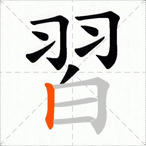 習