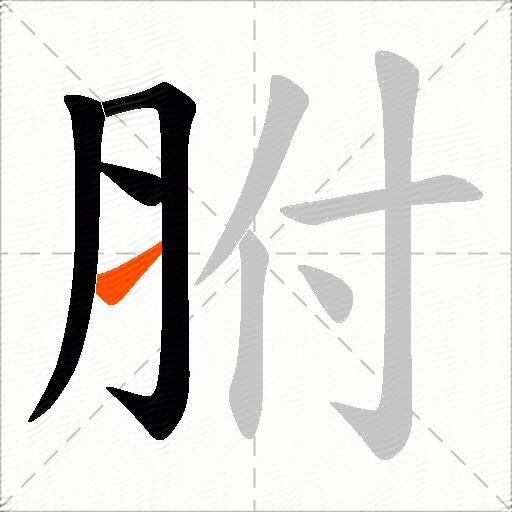胕